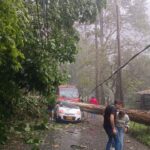 WhatsApp Image 2025-04-06 at 5.00.46 PM