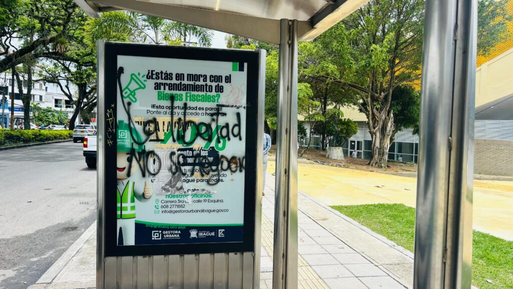 WhatsApp Image 2025-10-08 at 6.19.27 PM