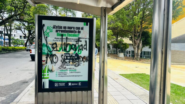 WhatsApp Image 2025-10-08 at 6.19.27 PM