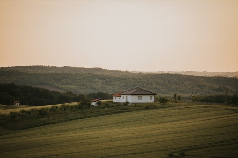 WhatsApp Image 2025-10-20 at 5.31.27 PM