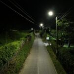 WhatsApp Image 2025-11-12 at 8.58.33 AM