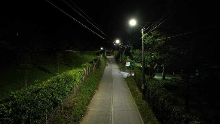 WhatsApp Image 2025-11-12 at 8.58.33 AM