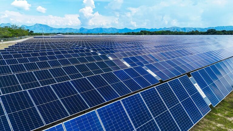 WhatsApp Image 2026-01-29 at 9.59.01 AM